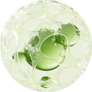 Marine Algae Icon